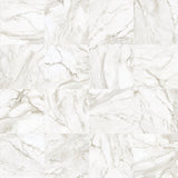 32 x 32 in. La Marca Calacatta Paonazzo Polished Rectified Glazed Porcelain Wall Tile