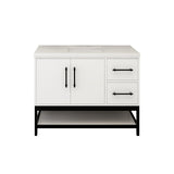 Victoria 42 In. Freestanding Single Sink Bathroom Vanity with Acrylic Sink Top, Open Shelf Storage & Right Side Drawers & Doors