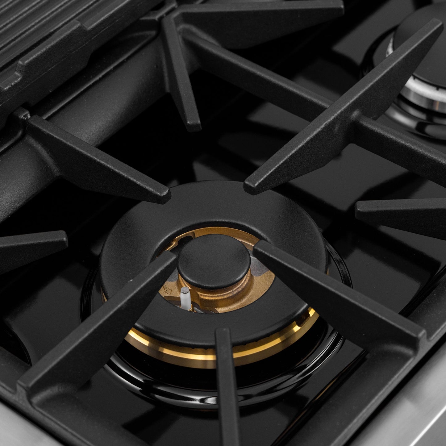 48 in. 6.7 cu. ft. 8 Burners Dual Fuel Range for Natural Gas in Stainless Steel with Kucht Horus Thermostat