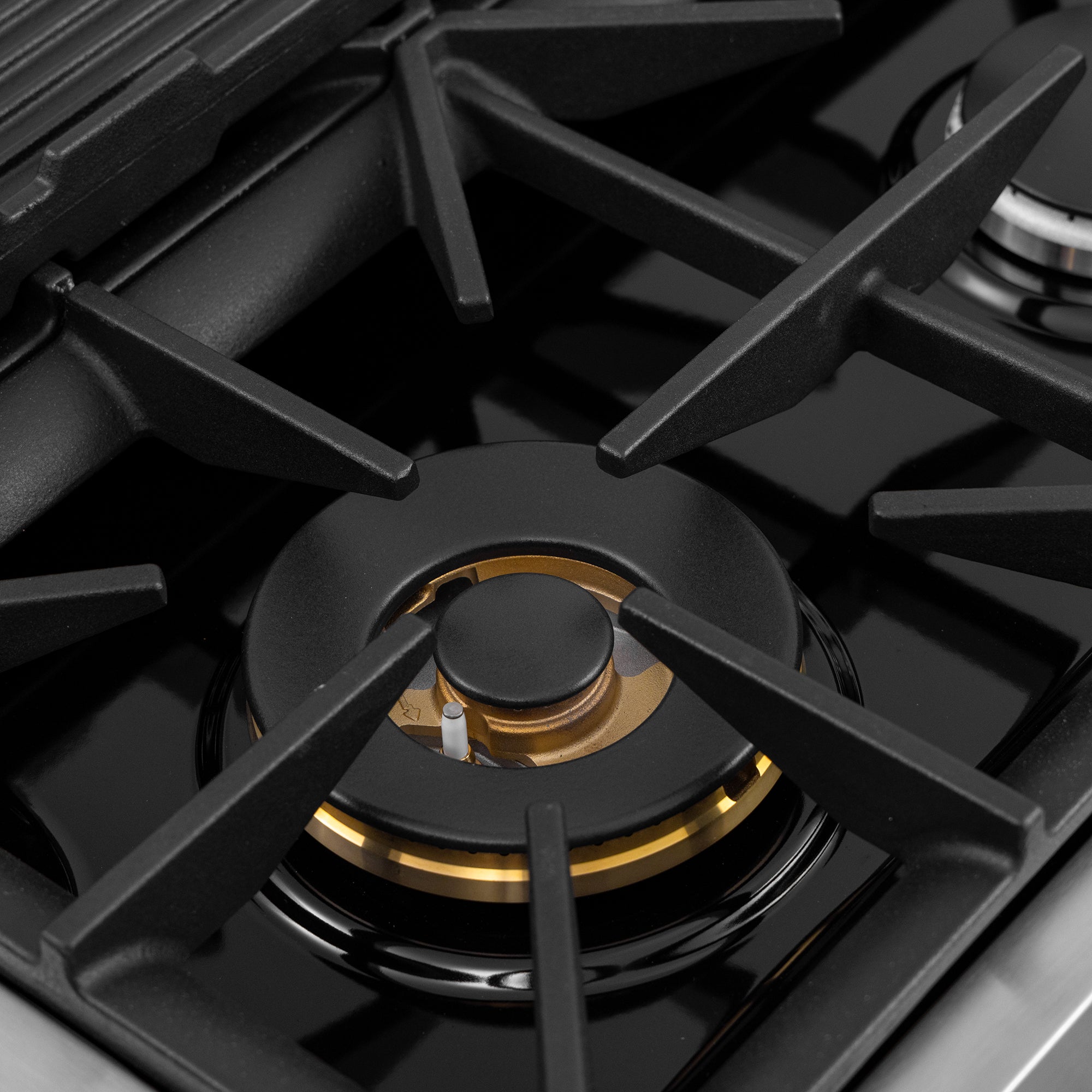 48 in. 6.7 cu. ft. 8 Burners Dual Fuel Range for Natural Gas in Stainless Steel with Kucht Horus Thermostat