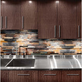 6 X 24 In Indian Coast Ledger Stone