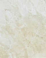 8 X 10 In Malena Ivory Glossy Pressed Glazed Ceramic