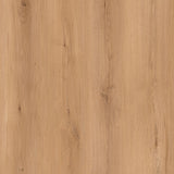 WPC Luxury Vinyl Flooring, Click Lock Floating, Altitude Trail, 9" x 72" x 10mm, 20 mil Wear Layer - CANYON COAST Collection (32.41 SQ FT/ CTN)