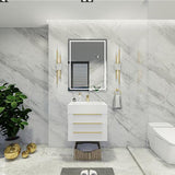 Blossom 24 In. Floating Single Sink Bathroom Vanity With Acrylic Sink Top & Aluminum Alloy Frame