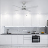 APEX 52 In 4 Blade Smart Ceiling Fan Without  LED  Lights With Pull Chain