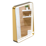 LED Lighted Bathroom Vanity Mirror With Shelf, Wall-Mounted, Touch Switch,  Anti-Fog Adjustable Color Temperature & Remembrance, CRI 90+, Lighted Makeup Mirrors, Raven Style