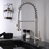 Lanuvio Brass Kitchen Faucet w/ Pull Out Sprayer - Brushed Nickel