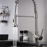 Lanuvio Brass Kitchen Faucet w/ Pull Out Sprayer - Brushed Nickel