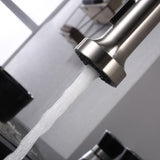 Lanuvio Brass Kitchen Faucet w/ Pull Out Sprayer - Brushed Nickel