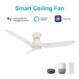 CALEN 44 In 3 Blade Smart Ceiling Fan With Integrated LED Lights With Google Home