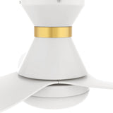 Ryatt 45 Inch 3 Blade Flush Mount Ceiling Fan With Led Light Kit Remote