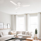 CALEN 48 inch 3-Blade Flush Mount Smart Ceiling Fan with LED Light & Remote