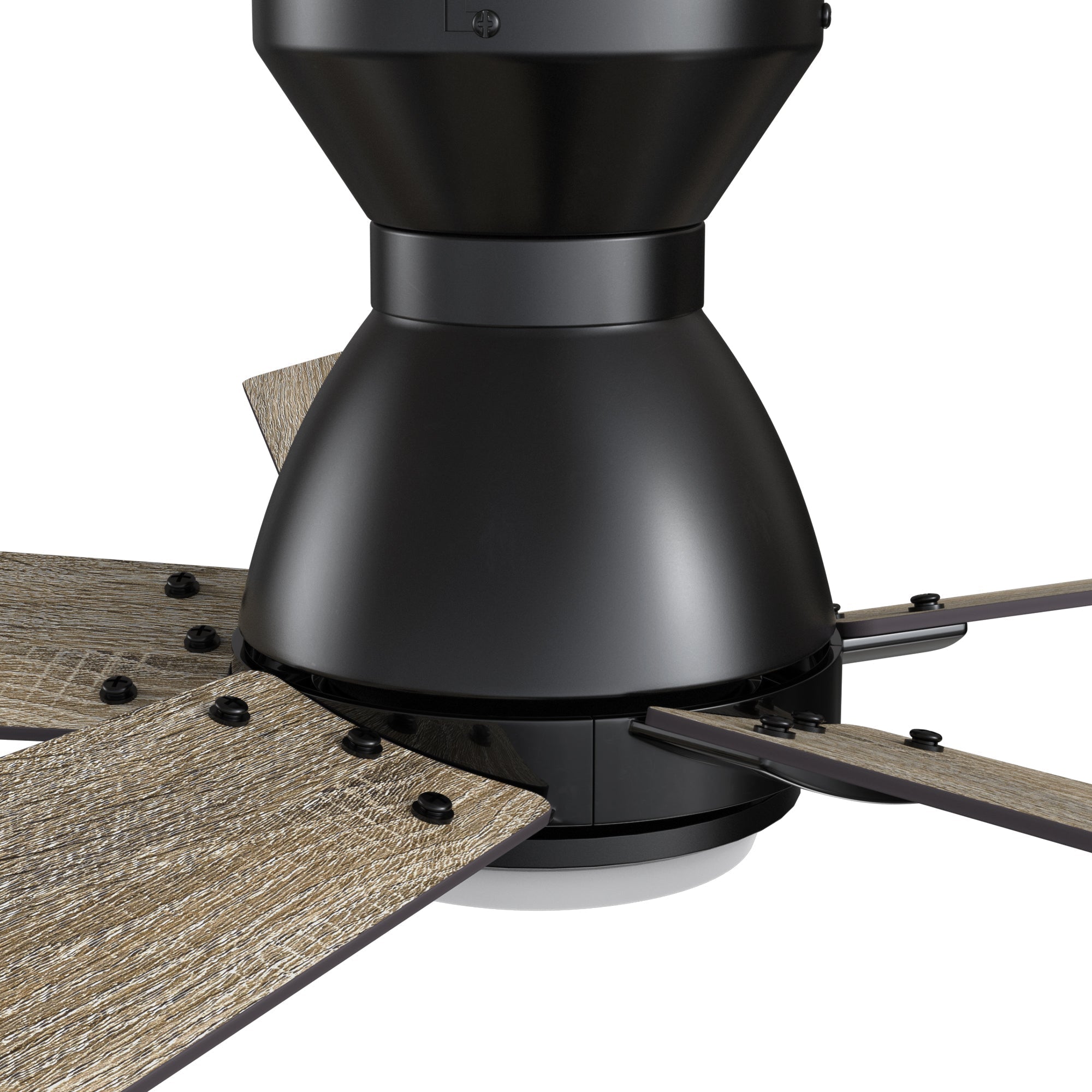ASCENDER 48 inch 5-Blade Flush Mount Smart Ceiling Fan with LED Light & Remote
