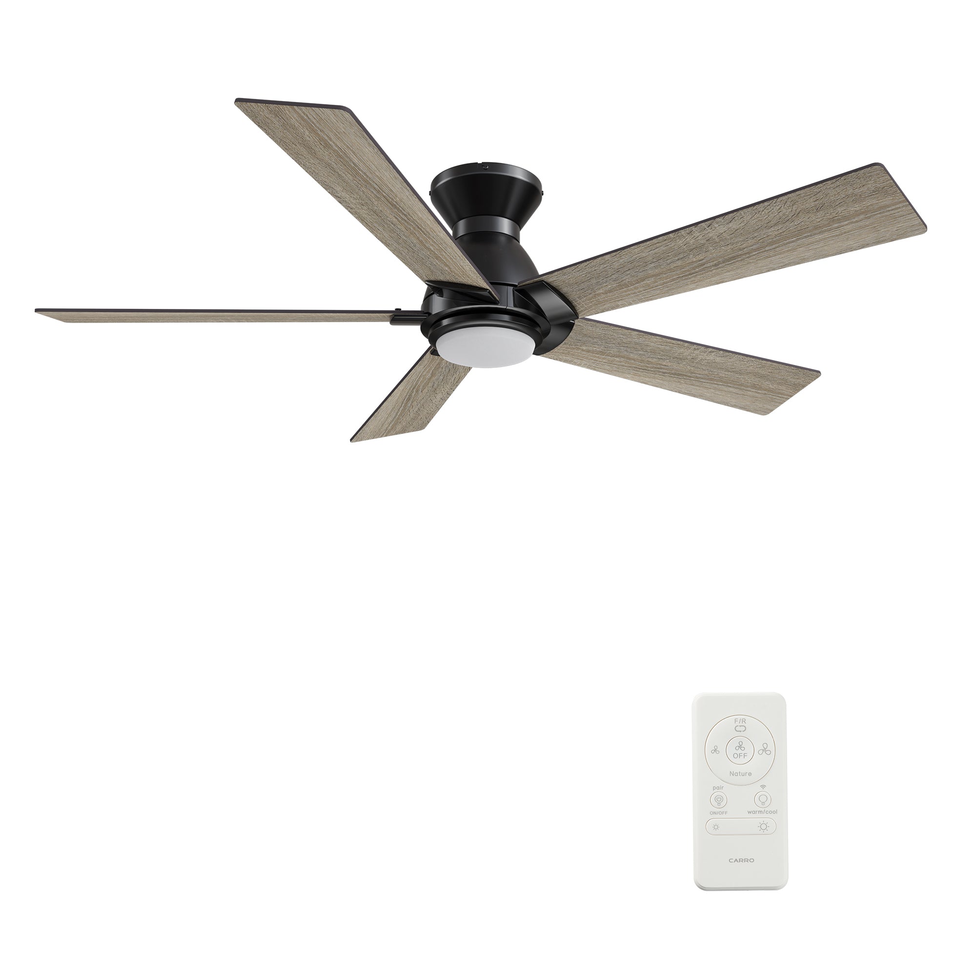 ASCENDER 48 inch 5-Blade Flush Mount Smart Ceiling Fan with LED Light & Remote