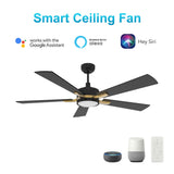 APPLETON 52 In 5 Blade Smart Ceiling Fan With Integrated LED Lights With Google Home