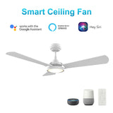 BRISA 56 In 3 Blade Smart Ceiling Fan With Integrated LED Lights With Google Home