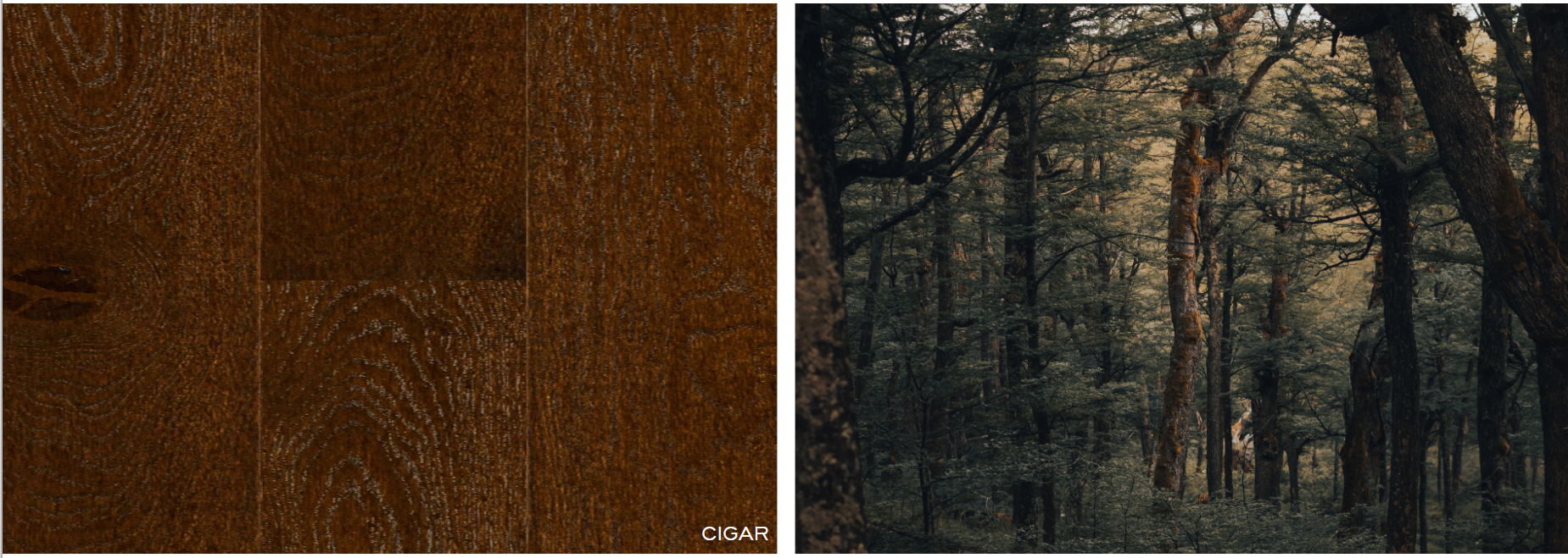 RIVA FLOORS - MAX CHARACTER - Cigar 10"W Plank - 8' LENGTHS - SF