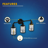Birdcage Shape Bathroom Light Fixtures, Wall Mount, Matte Black with Clear Glass Shade, 1-Light/2-Light/3-Light, E26 Base, For Damp Locations, Vanity Lighting
