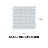 Element Ice Penny Round Glossy Glass Mosaic