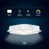 LED Canopy Light 75W 5700K Daylight 9750LM IP65 Waterproof 0-10V Dim 120-277VAC  Surface or Pendant Mount, for Gas Stations Outdoor Area Light, White