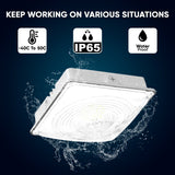 LED Canopy Light 75W 5700K Daylight 9750LM IP65 Waterproof 0-10V Dim 120-277VAC  Surface or Pendant Mount, for Gas Stations Outdoor Area Light, White