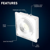 LED Canopy Light 75W 5700K Daylight 9750LM IP65 Waterproof 0-10V Dim 120-277VAC  Surface or Pendant Mount, for Gas Stations Outdoor Area Light, White