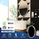 Oval LED Lighted Bathroom Vanity Mirror, Touch Switch, Anti-Fog Wall Mounted Makeup Mirror & CCT Remembrance, CRI 90+, LED Oval Mirror for Bathroom, Lunar Style