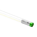 T8 4ft LED Tube/Bulb - Glass 18W 1800 Lumens 4000K Clear, Single Ended Power - Ballast Bypass