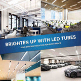 T8 4ft LED Tube/Bulb - Glass 18W 1800 Lumens 4000K Frosted, Single Ended Power - Ballast Bypass