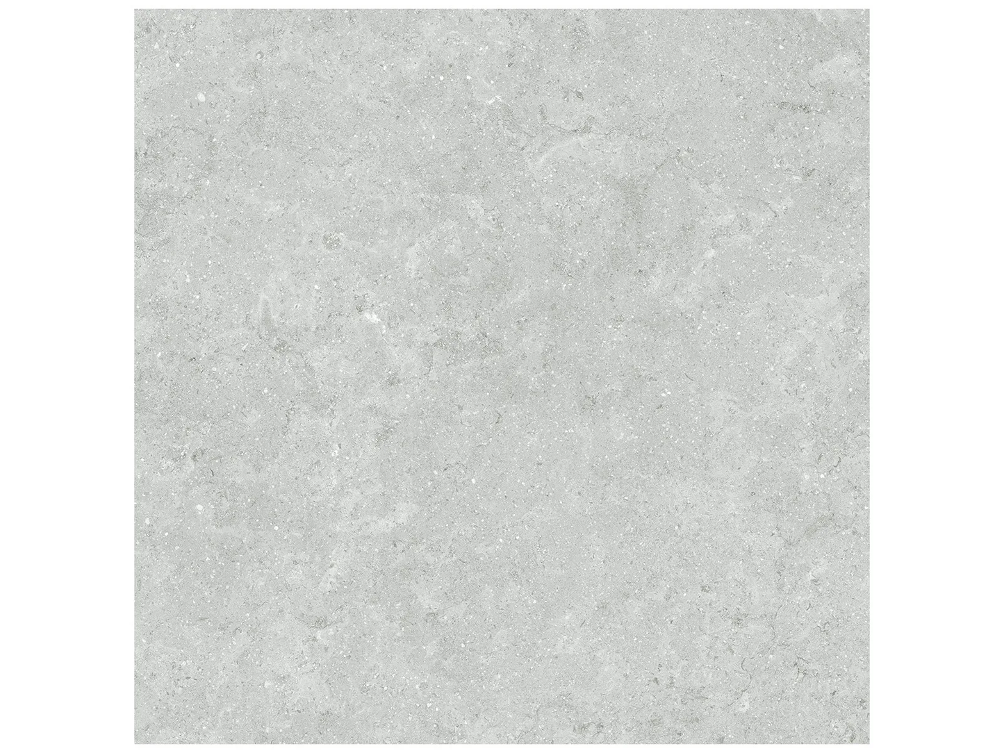 20 x 20 in Coliseo Platinum Matte Pressed Glazed Porcelain Tile