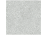 20 x 20 in Coliseo Platinum Matte Pressed Glazed Porcelain Tile