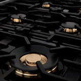 ZLINE 36 in. 4.6 cu. ft. Legacy Dual Fuel Range with Gas Cooktop and Electric Convection Oven in Stainless Steel with 6 Brass Burners (RA-BR-36)