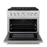 ZLINE 36 in. 5.2 cu. ft. Paramount Gas Range with Convection Gas Oven in Stainless Steel with 6 Brass Burners (SGR-BR-36)