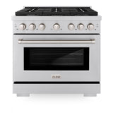 ZLINE 36 in. 5.2 cu. ft. Paramount Gas Range with Convection Gas Oven in Stainless Steel with 6 Brass Burners (SGR-BR-36)
