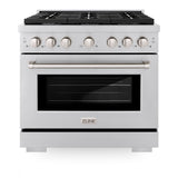 ZLINE 36 in. 5.2 cu. ft. Paramount Dual Fuel Range with 6 Burner Gas Cooktop and Electric Convection Oven in Stainless Steel (SDR36)
