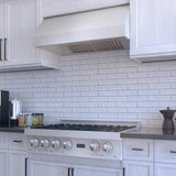ZLINE 30 in. Satin Stainless Steel Convertible Vent Under Cabinet Range Hood (8685S-30)