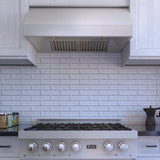 ZLINE 30 in. Satin Stainless Steel Convertible Vent Under Cabinet Range Hood (8685S-30)